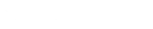 Tico and Tina Logo