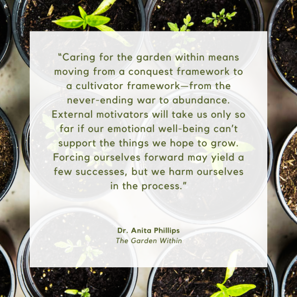 from never-ending war to abundance dr anita phillips quote